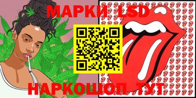 индика Моздок